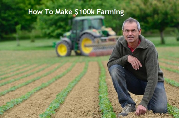How To Make $100k Farming
